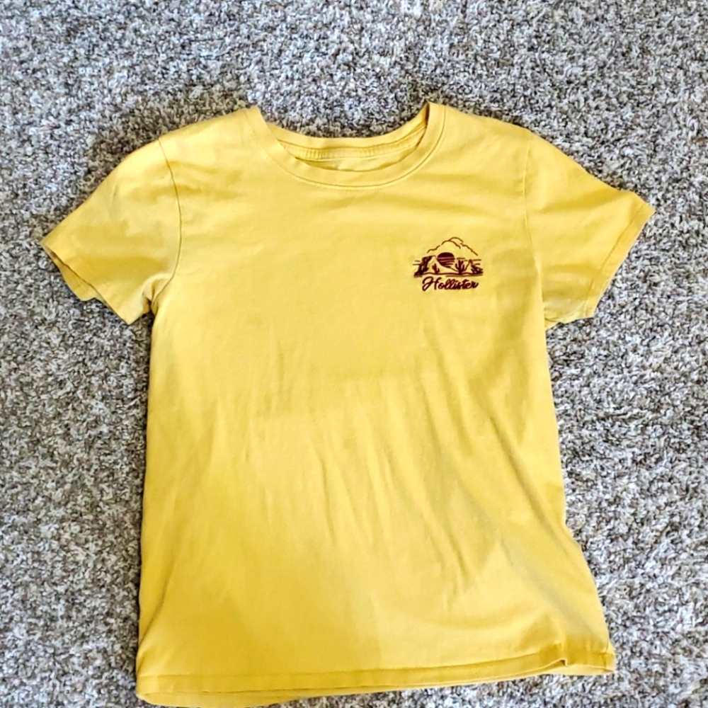 Hollister crop top